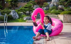 仙踪林最新短视频区欢迎您